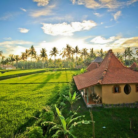 Dragonfly Village Ubud  Exterior photo