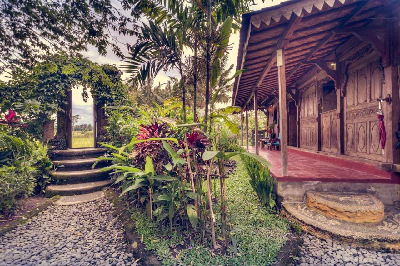 Dragonfly Village Ubud  Exterior photo