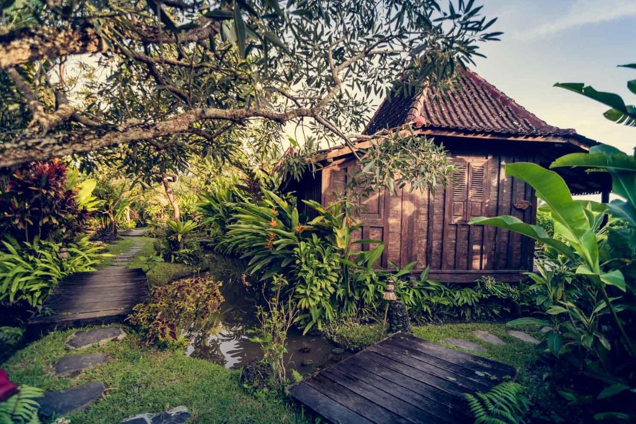 Dragonfly Village Ubud  Exterior photo