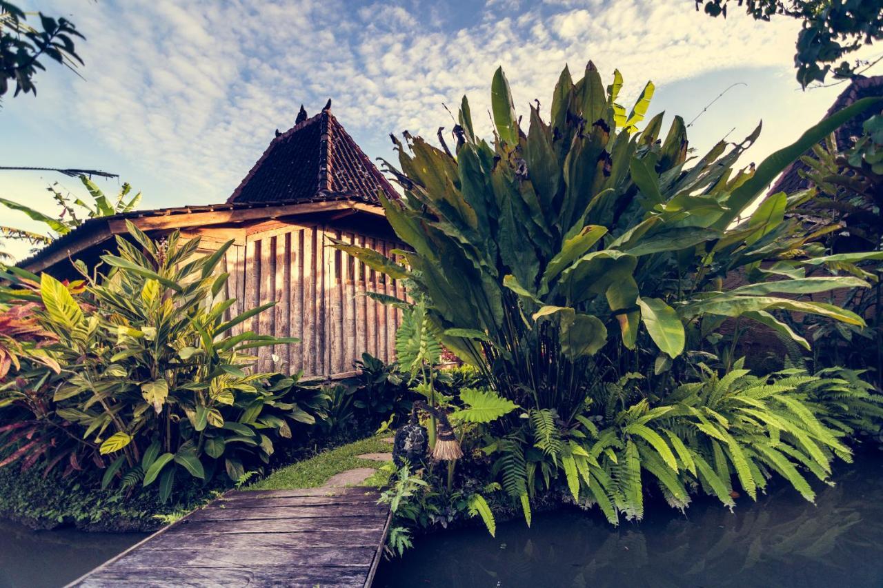 Dragonfly Village Ubud  Exterior photo