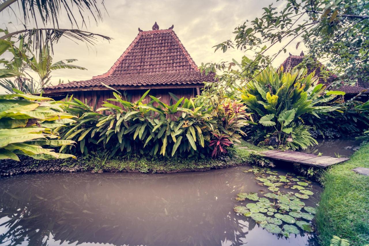 Dragonfly Village Ubud  Exterior photo