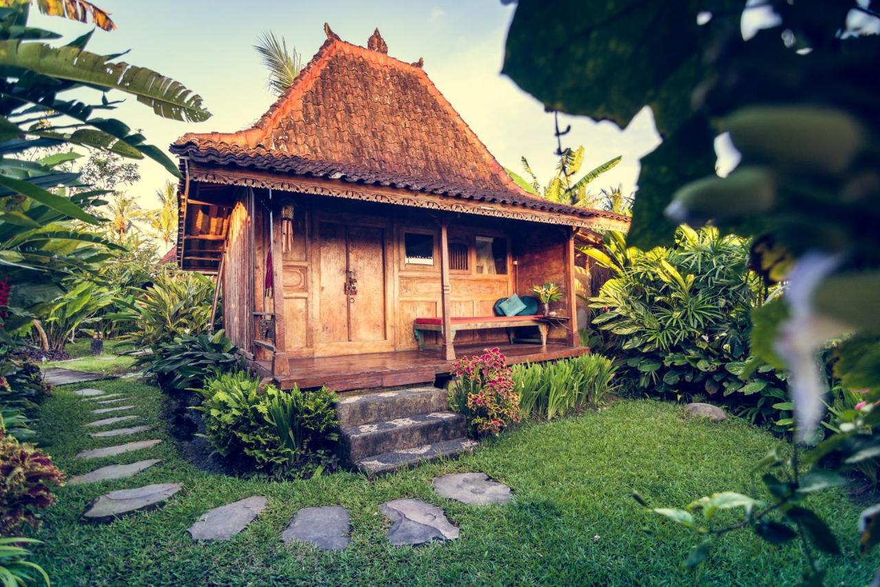 Dragonfly Village Ubud  Exterior photo