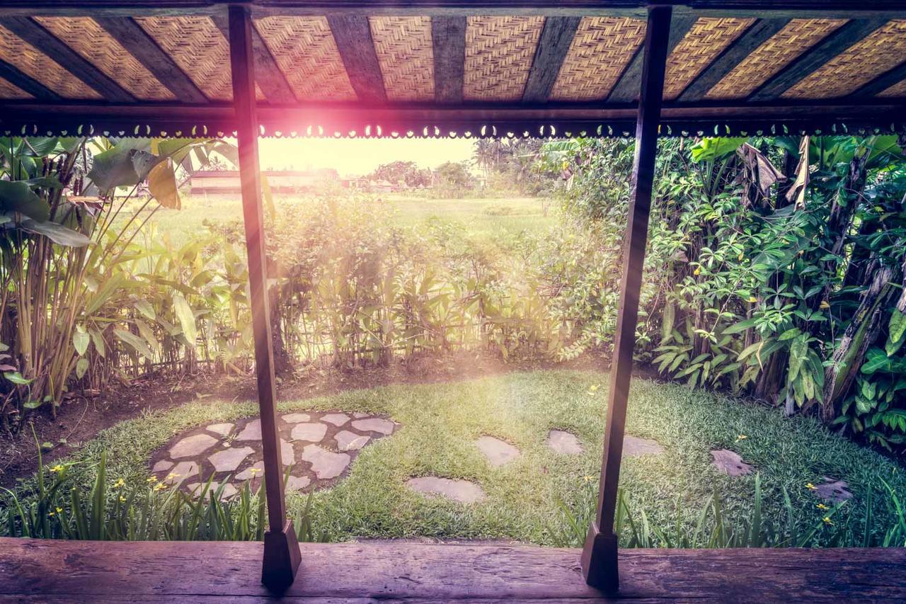 Dragonfly Village Ubud  Exterior photo