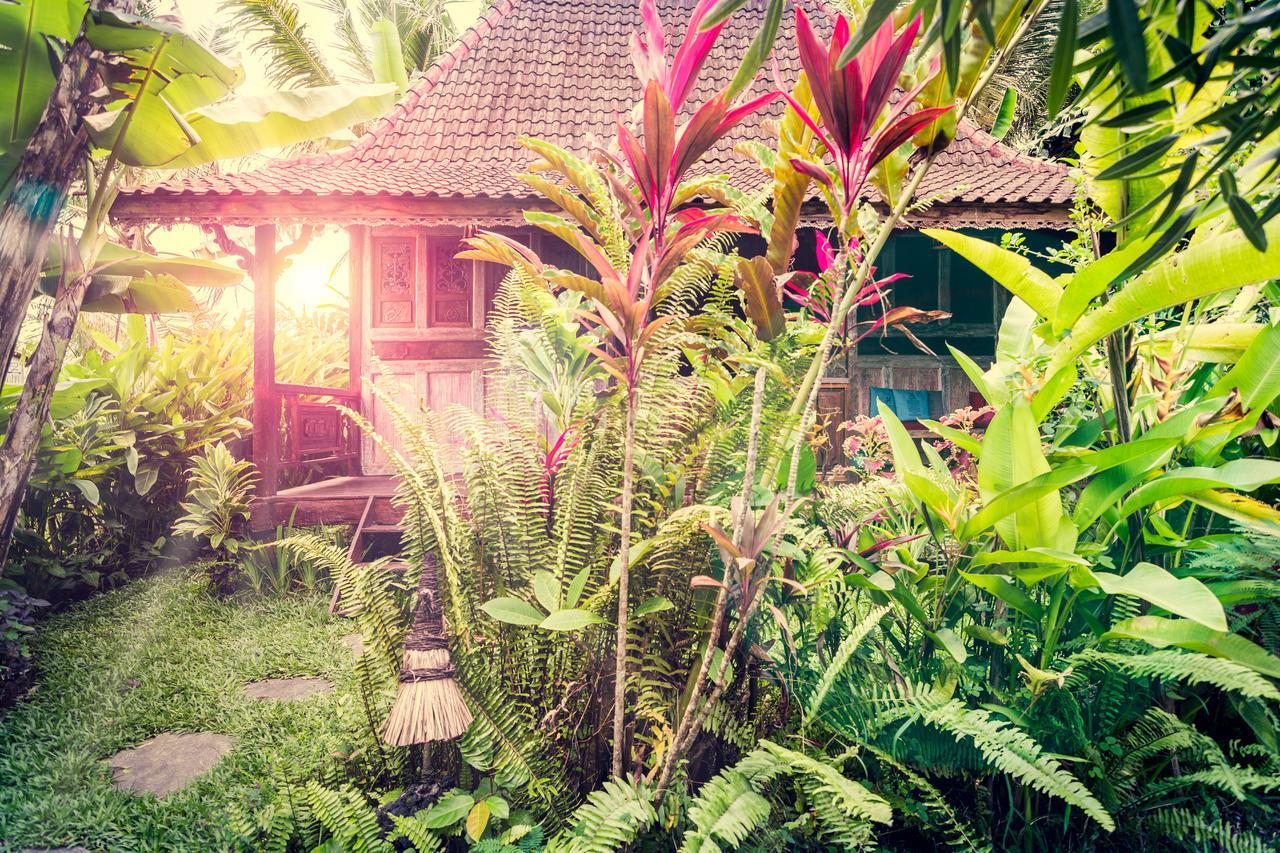 Dragonfly Village Ubud  Exterior photo