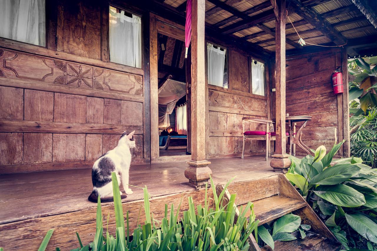 Dragonfly Village Ubud  Exterior photo