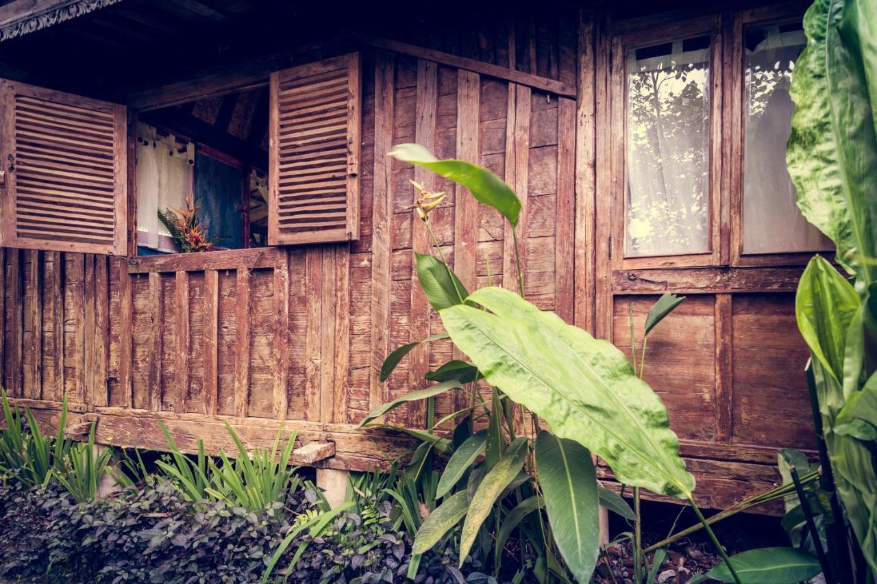 Dragonfly Village Ubud  Exterior photo