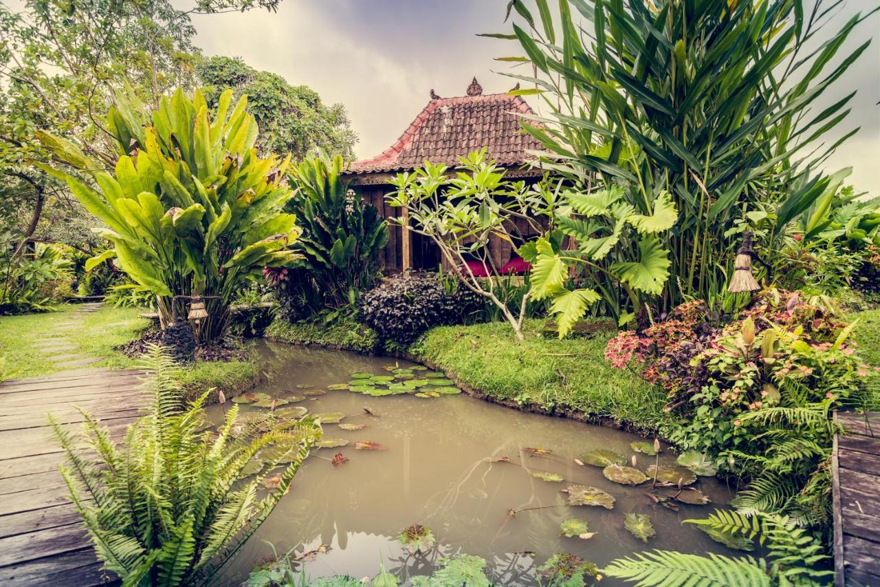 Dragonfly Village Ubud  Exterior photo