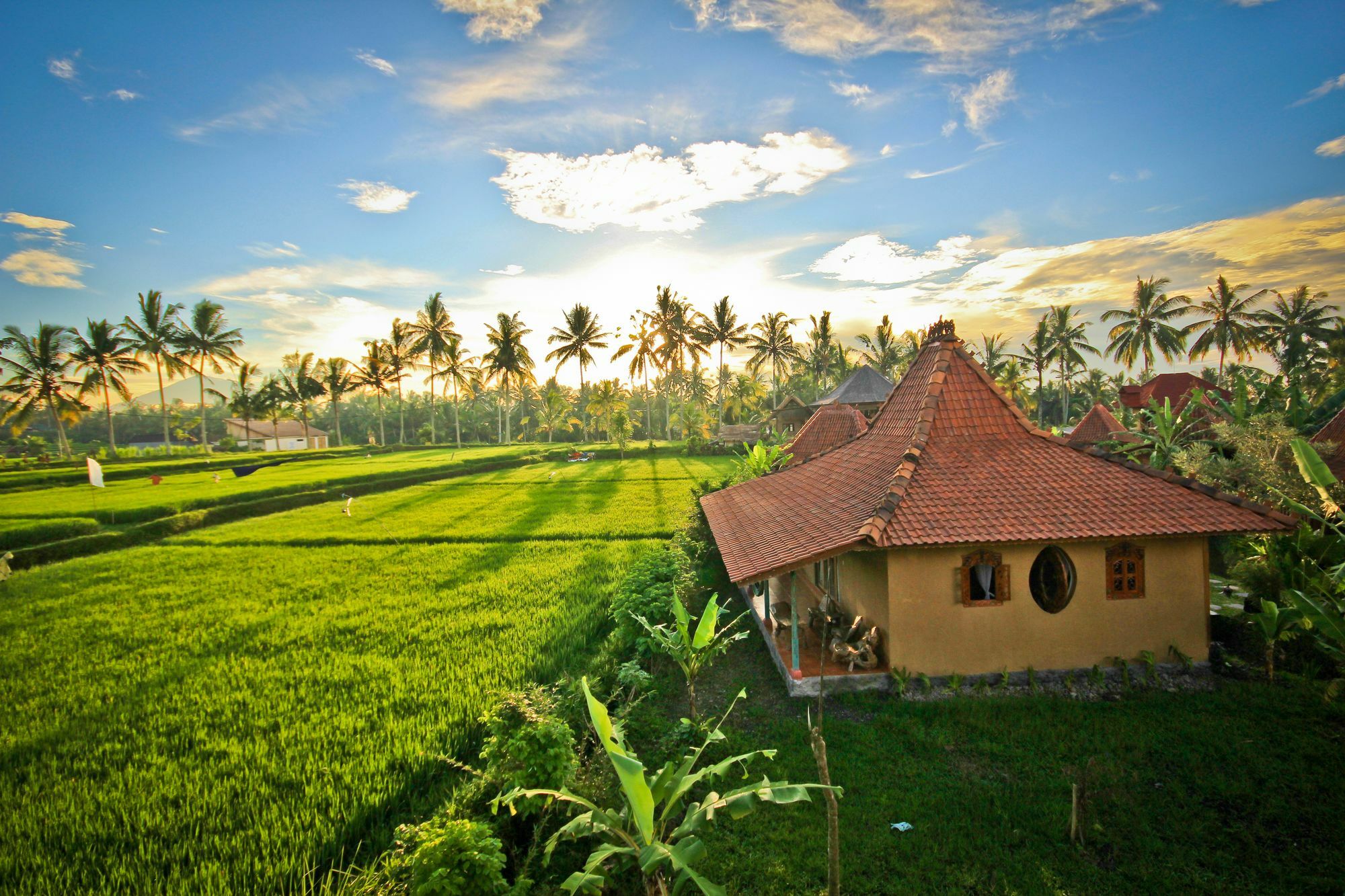 Dragonfly Village Ubud  Exterior photo